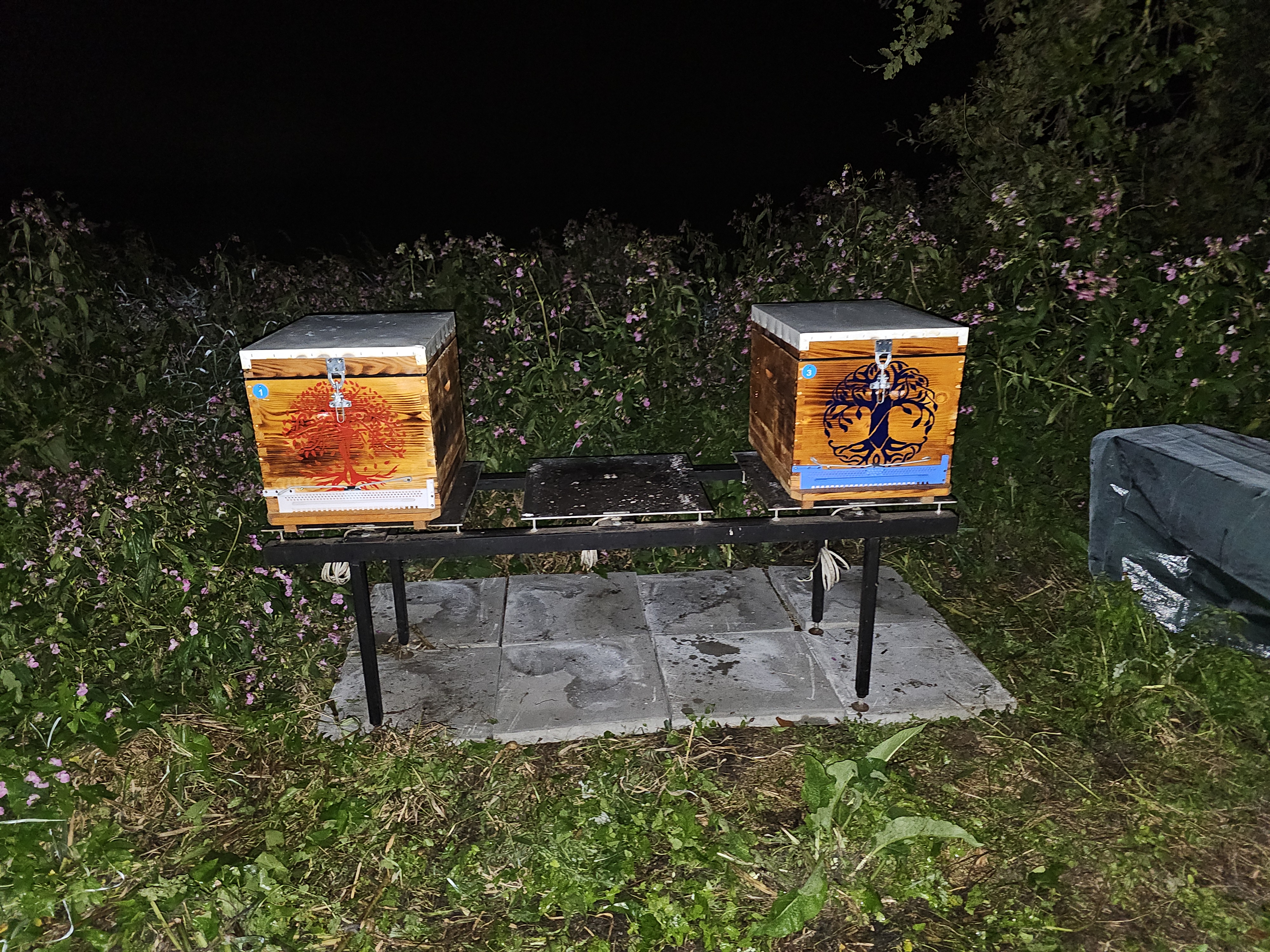 Bienenstand Lebensbaum